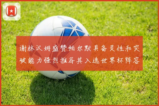 谢林汉姆盛赞帕尔默具备灵性和突破能力强烈推荐其入选世界杯阵容